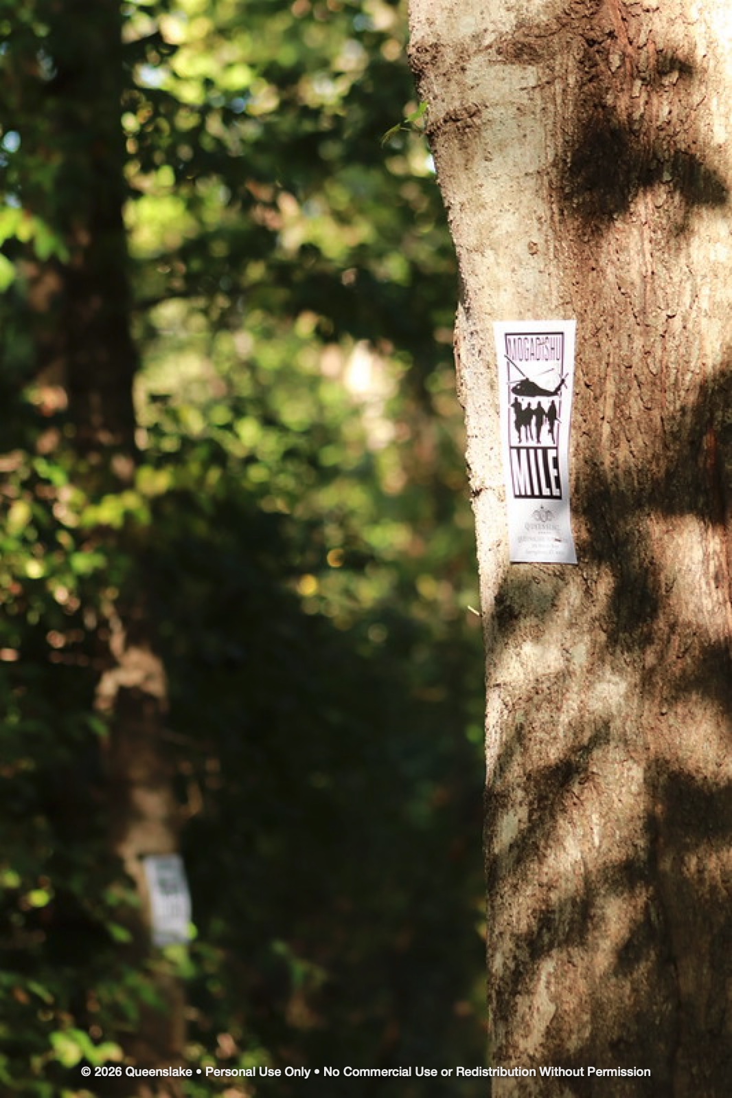 Official 2026 Mogadishu Mile Trail Marker on Timber Trail Tree Trunk